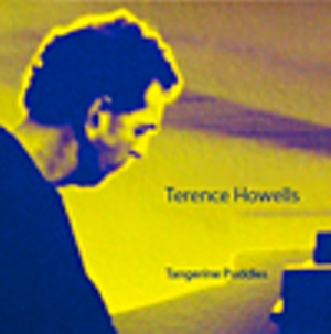 Terence Howells Tangerine Puddles
