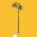 DLP Palms East of Eden